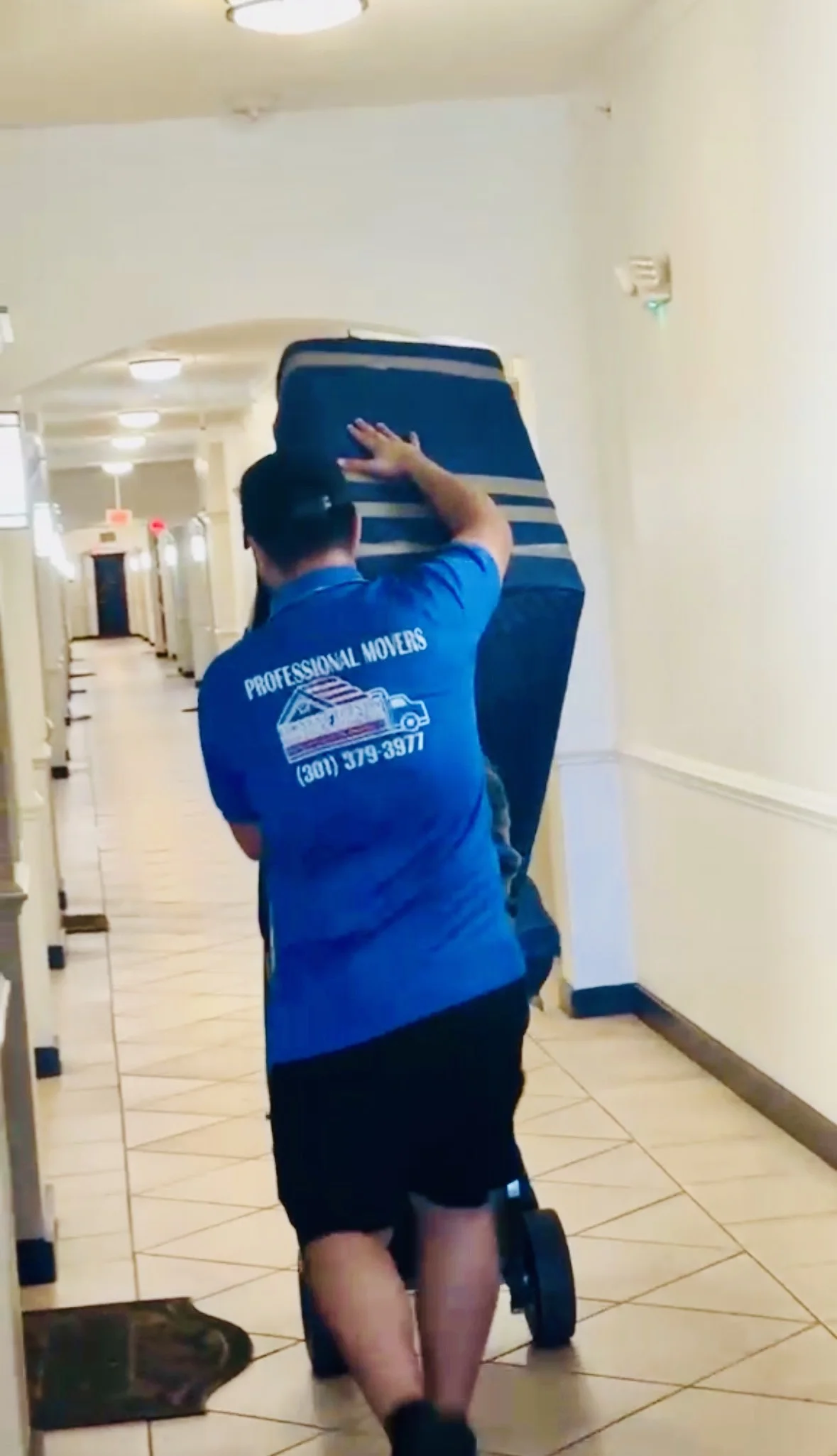 Moving services DMV